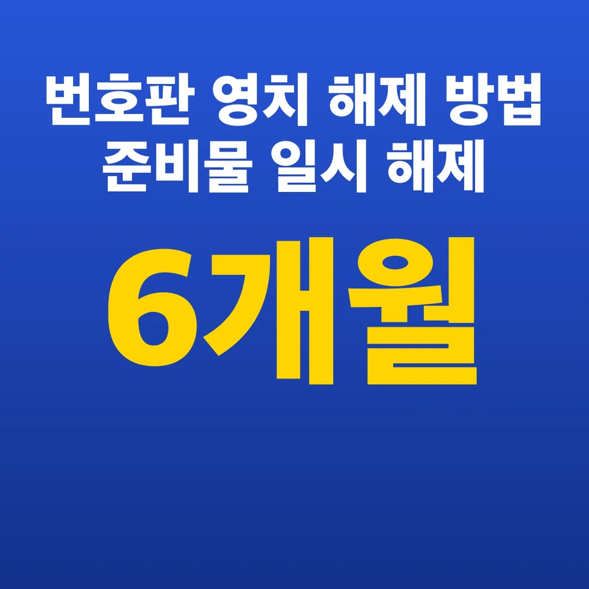번호판 영치 해제 방법 준비물 일시 해제 6개월