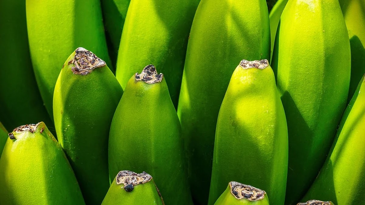 관세환급 제도 이해와 활용 절차 및 사례 정리