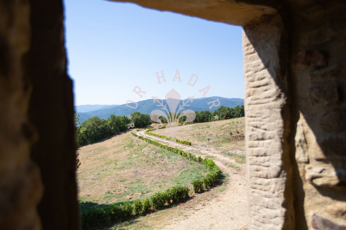 פודרה לה טולפה (Podere la Tolfa) — 20