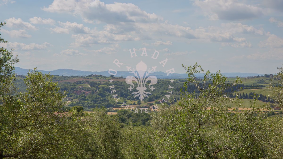 הפודרה דיי פיני (Il Podere dei Pini) — 38
