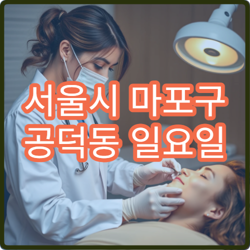 서울시 마포구 공덕동 일요일 정형외과 목통증 팔저림 진료
