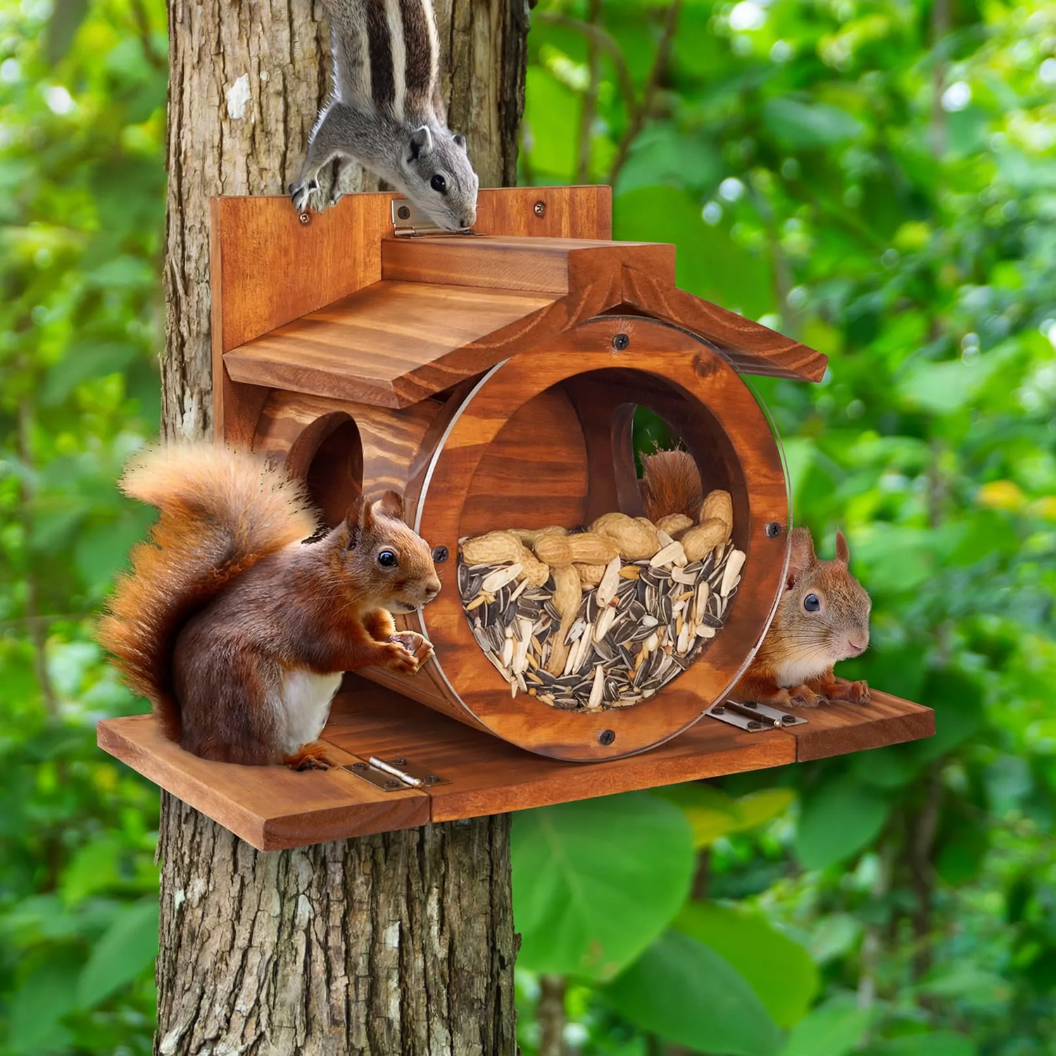 Wooden Wall Feeding Station for Squirrels