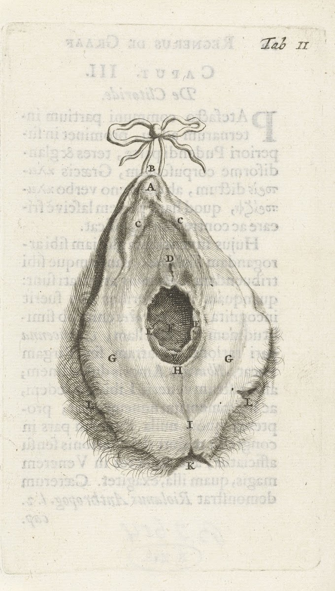 Anatomical illustration of the vagina 1672