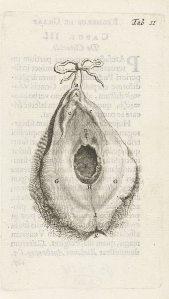 Anatomical illustration of the vagina 1672