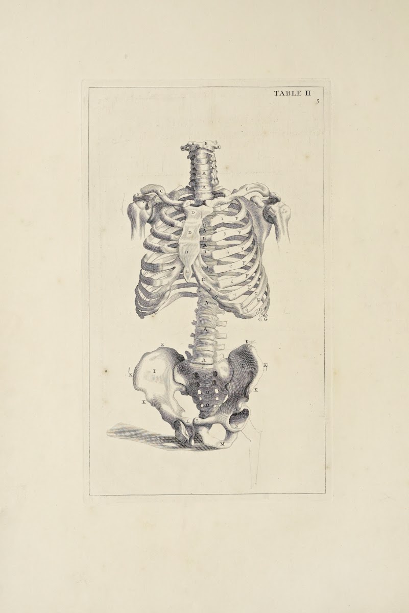 Anatomy improvd and illustrated with regard to the uses thereof in designing Pl0