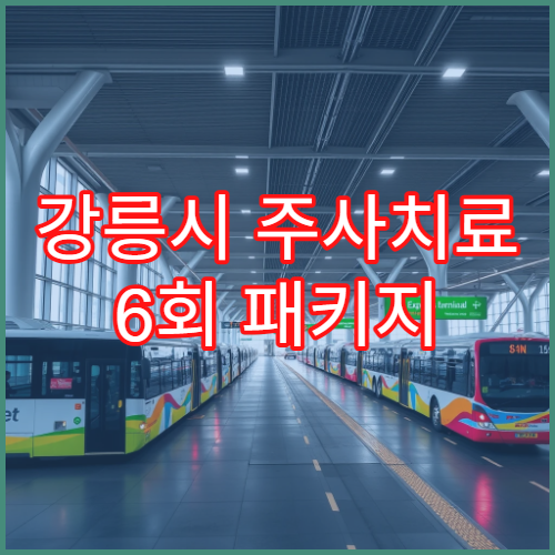 강릉시 주사치료 6회 패키지 가격과 효과 지속기간 분석