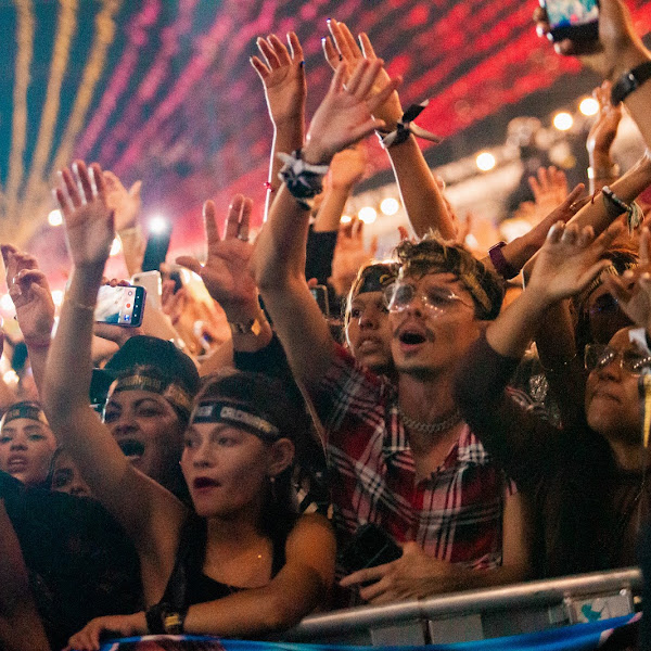 Imagem #15