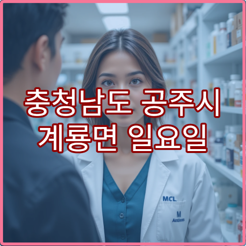 충청남도 공주시 계룡면 일요일 문 여는 약국 위치 확인하기