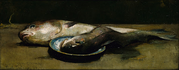 Haddock 1886