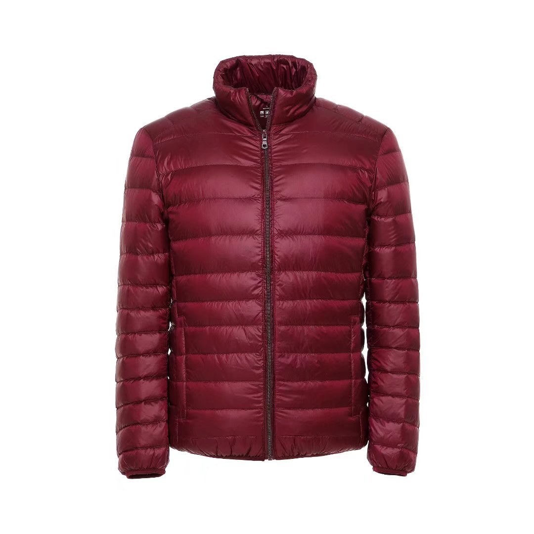 Simple men's down jacket with stand-up collar