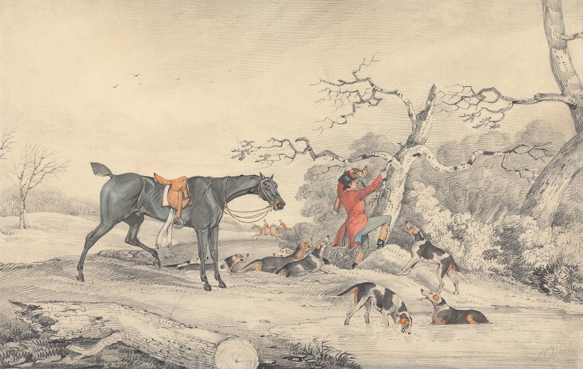 Treeing a Fox
