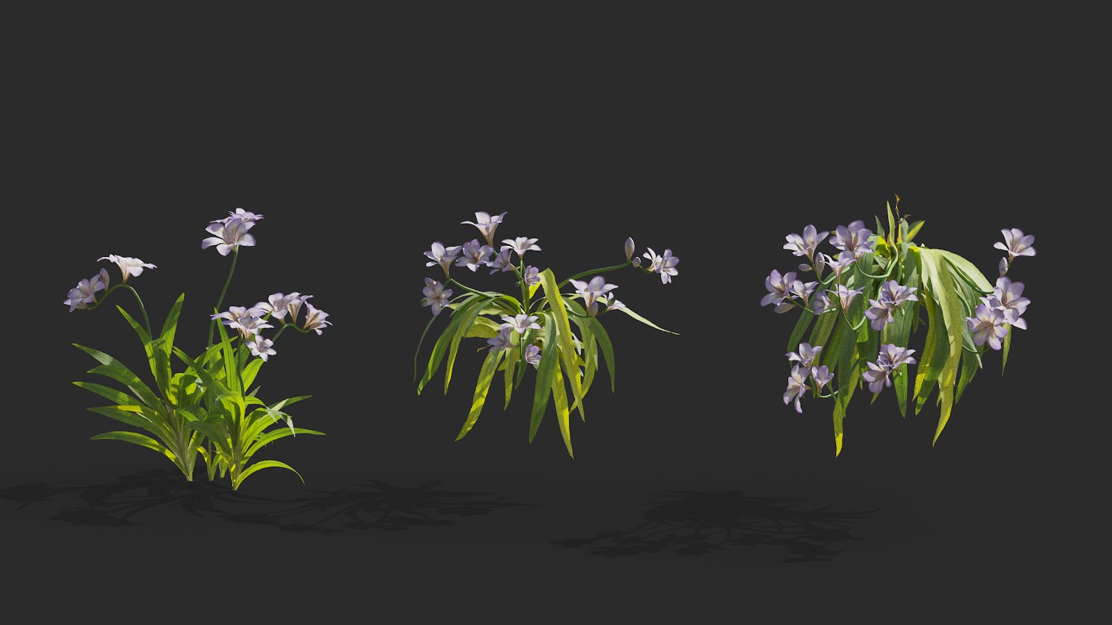 Maxtree - Plant Models Vol.64