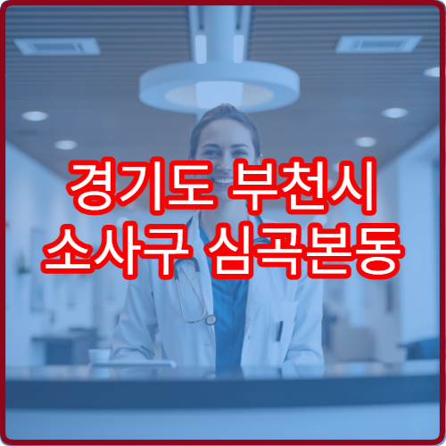 경기도 부천시 소사구 심곡본동 설날 명절 연휴 당직 약국 병·의원 주변 문 여는 휴일 약국 정보