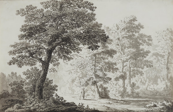 Wanderer auf Rügen