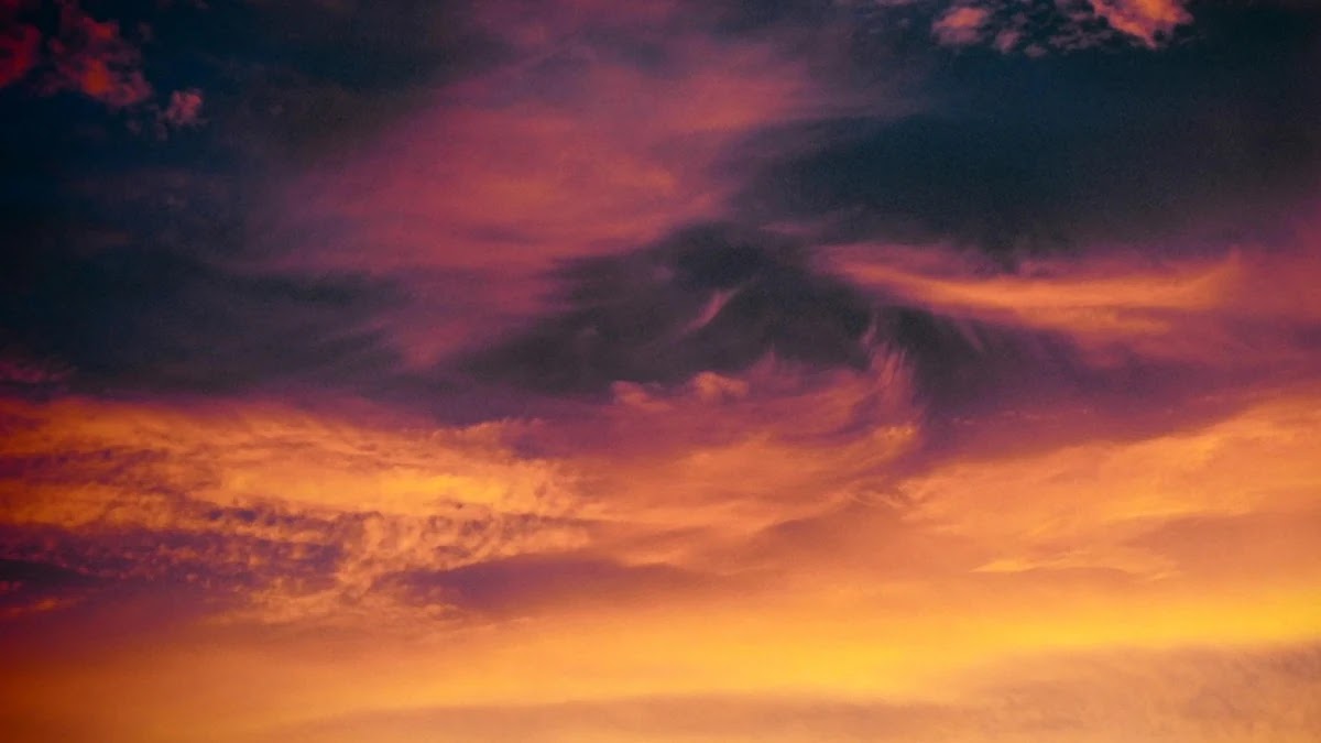 프리랜서 세금 신고 방법과 3.3% 원천징수 적용 조건