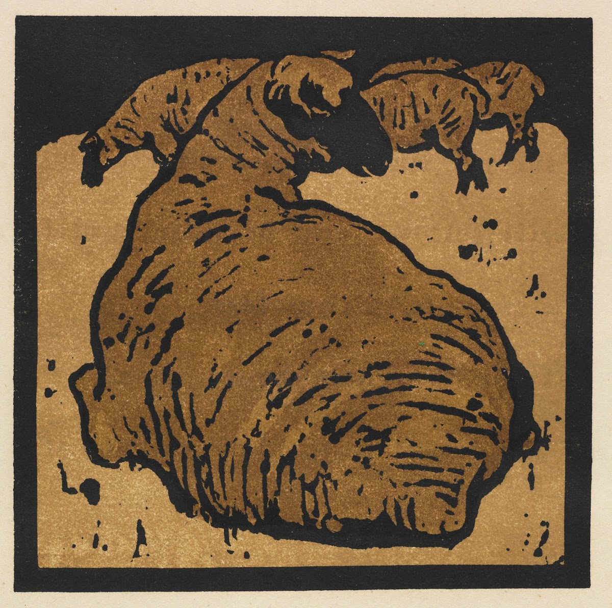 The Square Book of Animals The Simple Sheep 1899