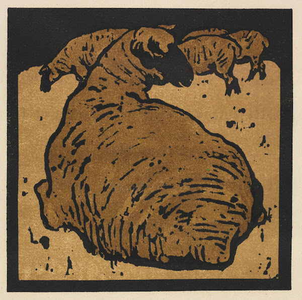 The Square Book of Animals The Simple Sheep 1899