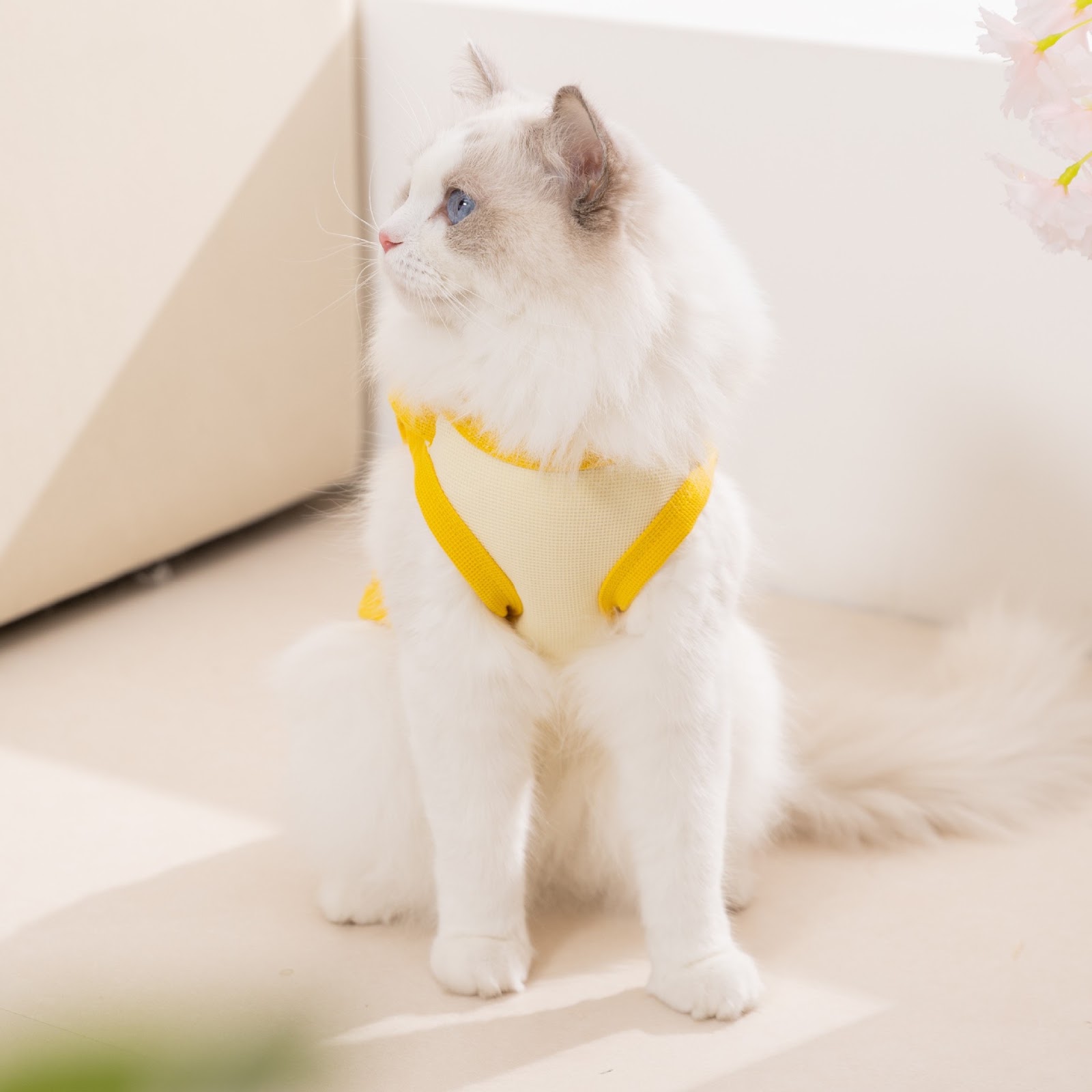 Sleeveless vest for cats and dogs, spring/summer
