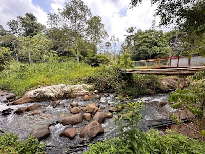 Tanah Janda Baik (Sungai) — foto 3/6