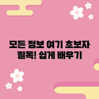 오토바이우비 정보, 초보자 가이드, 안전한 오토바이, 오토바이 필수품, 초보자용 장비