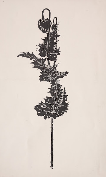Flower Study 18601911