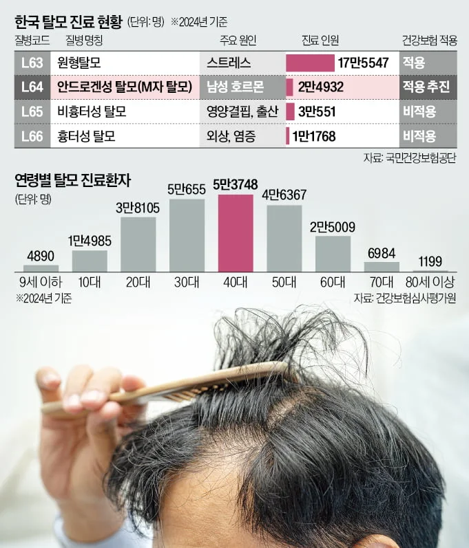 섹션 1 이미지