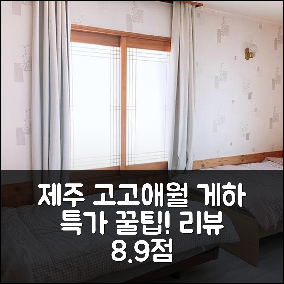 제주 고고애월 게스트하우스 특가 예약 꿀팁! (8.9점 후기 - 아고다 호텔 추천