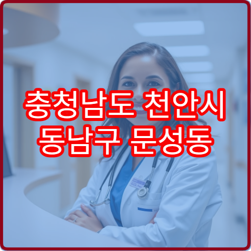 충청남도 천안시 동남구 문성동 설날 연휴 당번약국 문 여는 약국 정보
