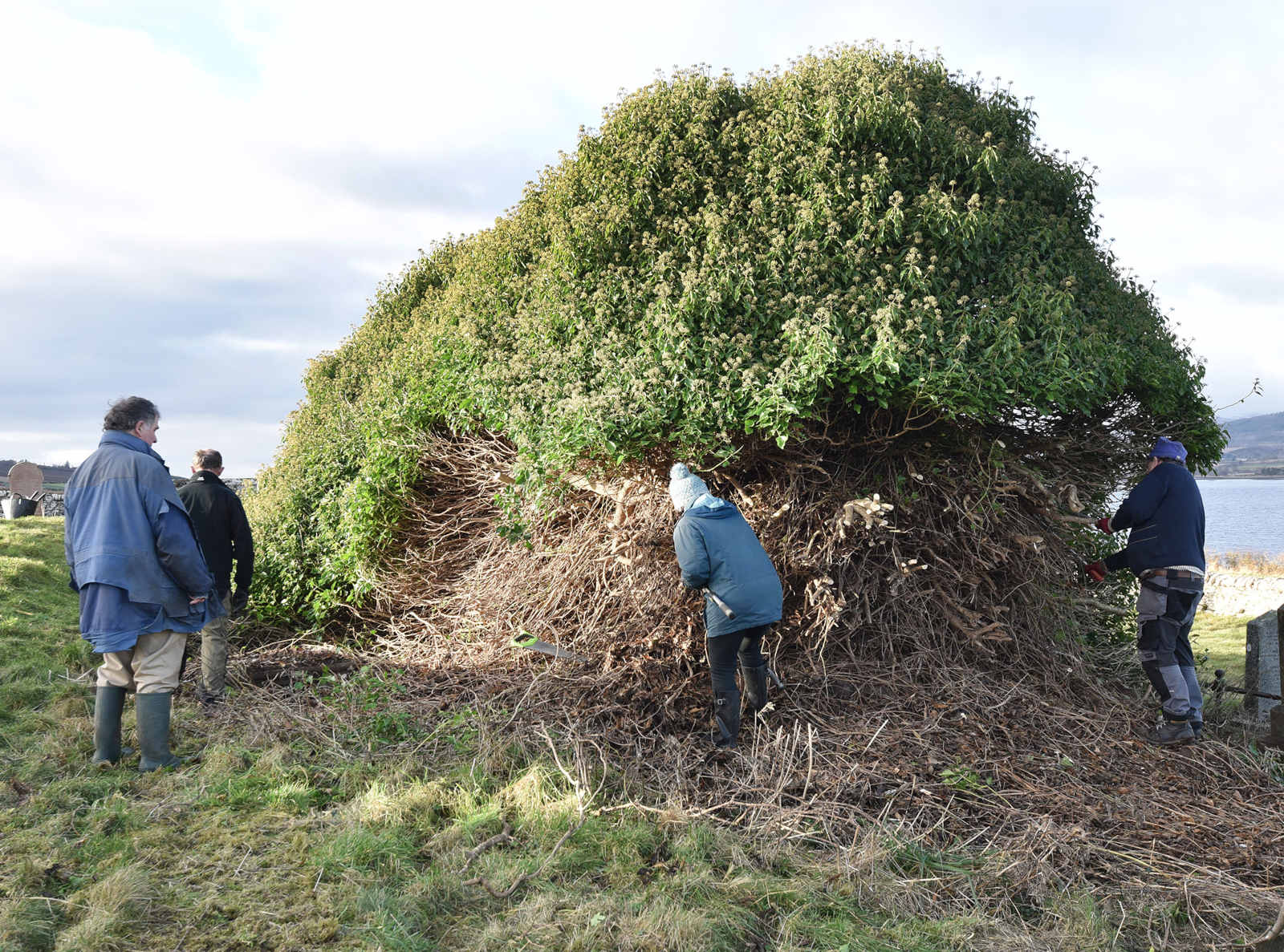 Abertarff_CullicuddenWorkParty2021.jpg