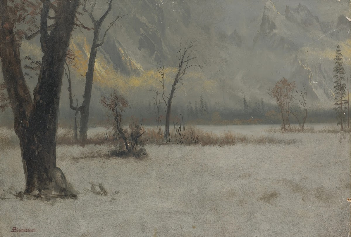 Winter Landscape