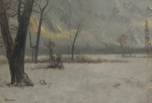 Winter Landscape