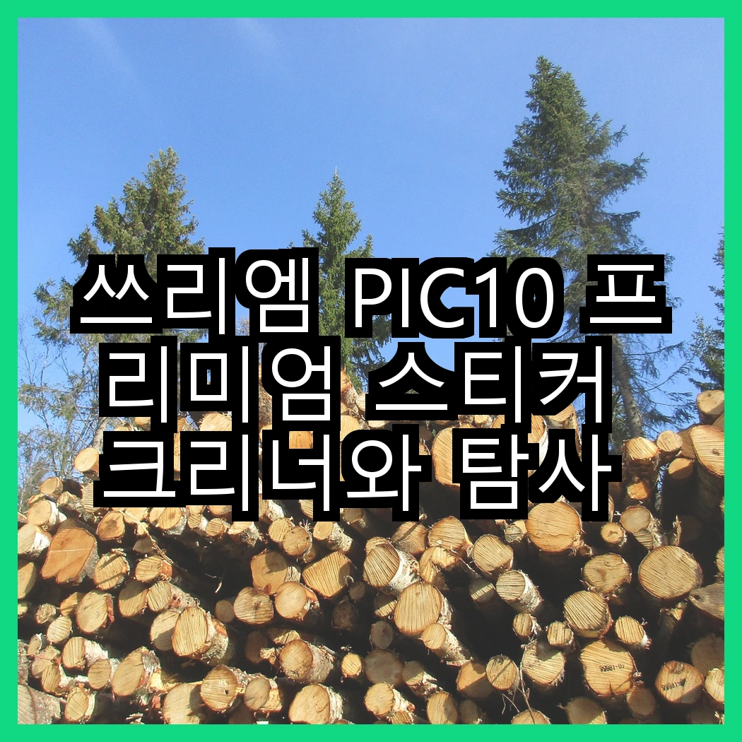 쓰리엠 PIC10 프리미엄 스티커 크리너와 탐사 초보운전 반사 자석 스티커, 어떤 선택이 더 실용적일까요? 썸네일