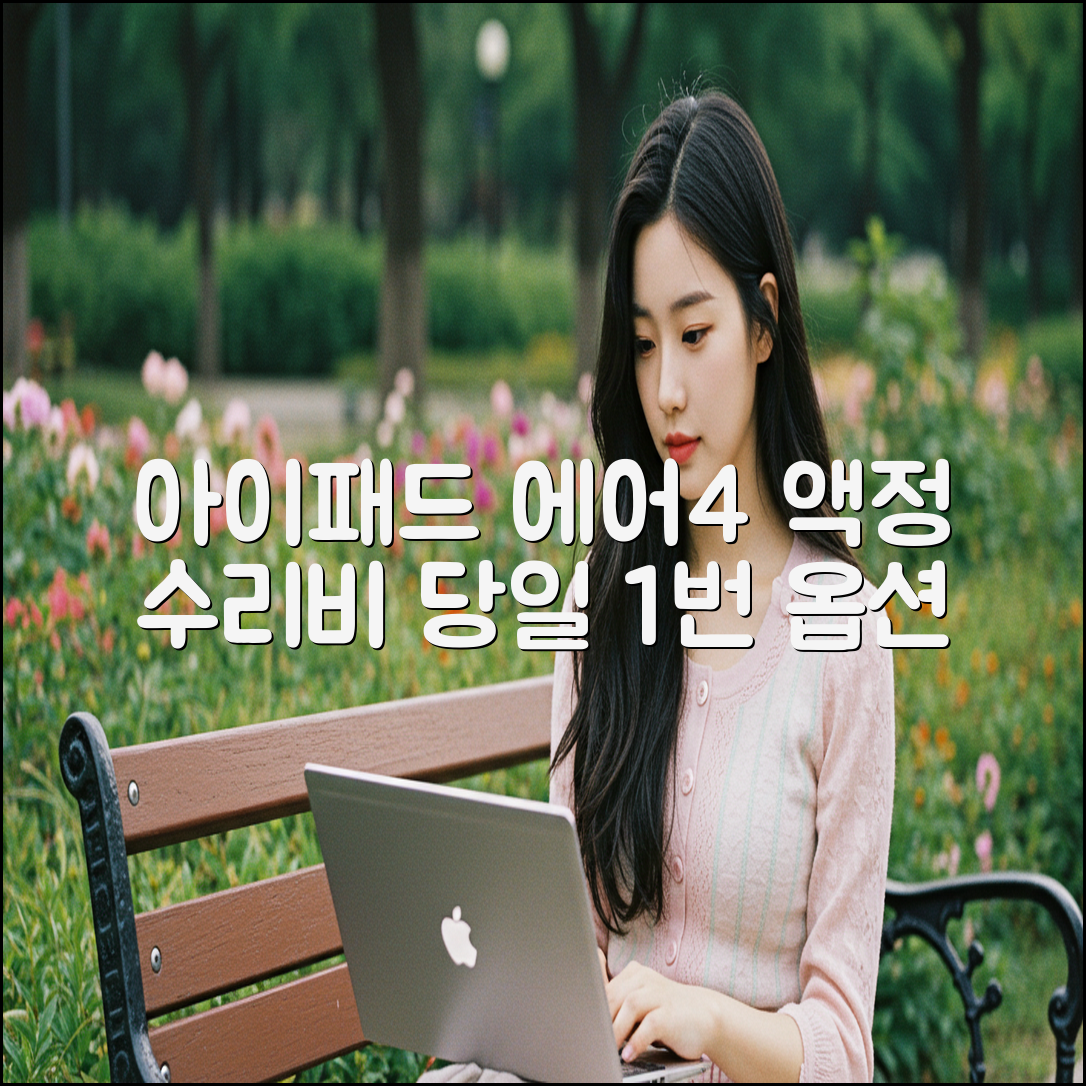 아이패드 에어 4세대 액정 수리비: 당일 1번 옵션