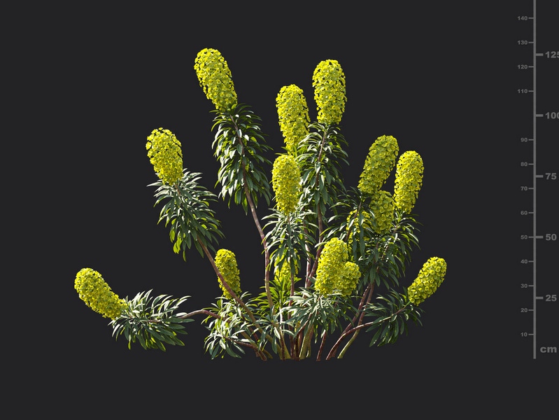 Maxtree - Plant Models Vol.119