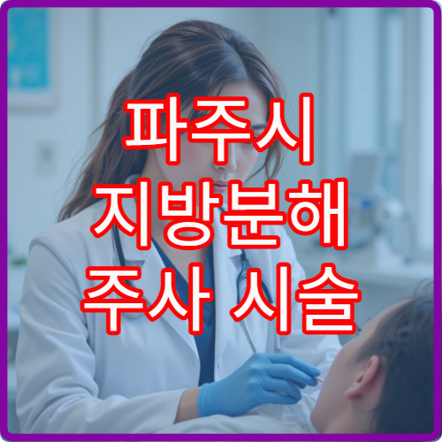 파주시 지방분해 주사 시술 전 검사 및 체형 관리 병원