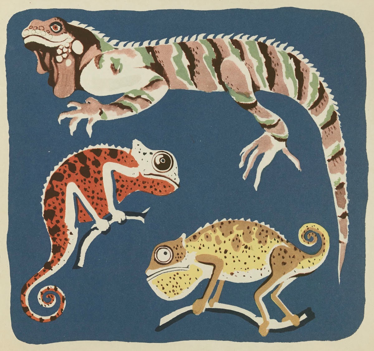 Nouvelles images à colorier Reptiles Pl07 1938