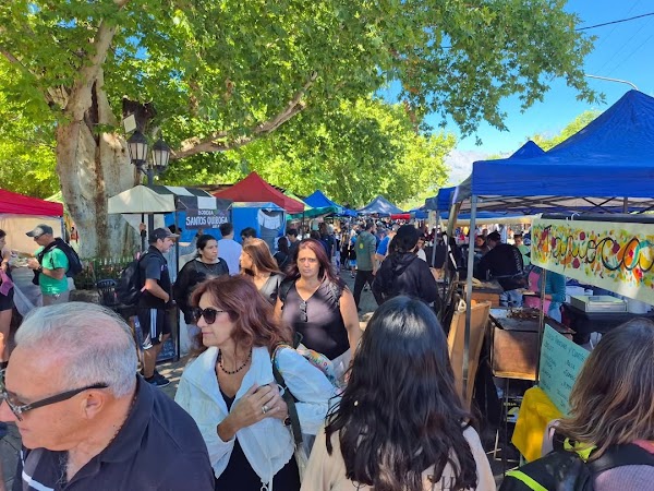 Feria de Villa de Las Rosas