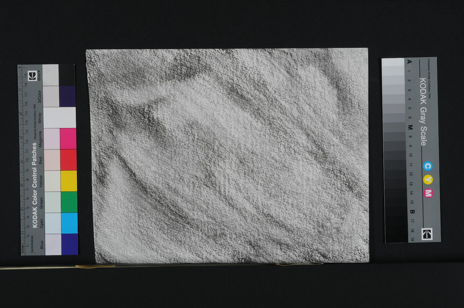 charcoal drawings