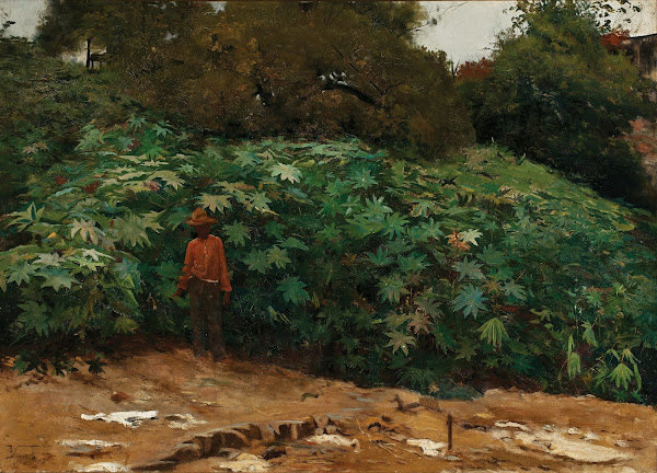 Mamoneiras  Morro de São Bento 1890