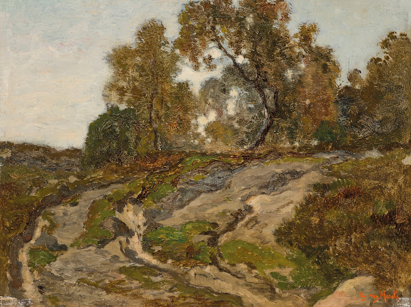 Paysage Boisé