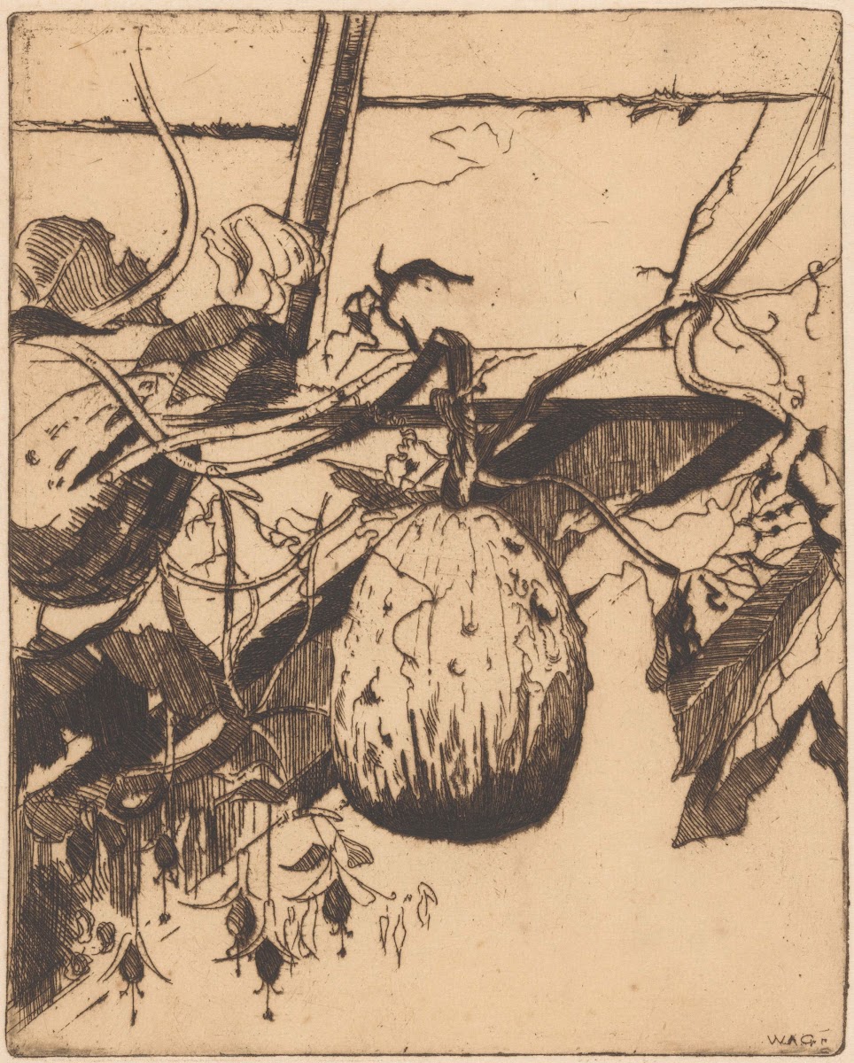 Kalebassen en fuchsia 1888 1934