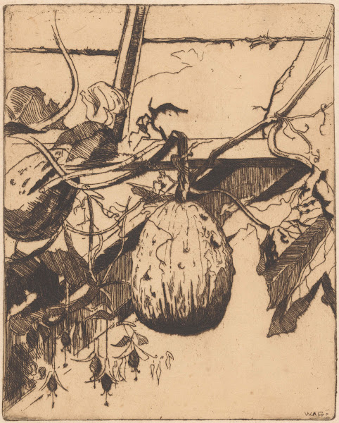 Kalebassen en fuchsia 1888 1934