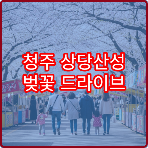 청주 상당산성 벚꽃 드라이브 주차 피하는 루트 초보 추천