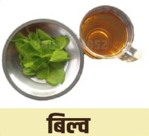 Bilva