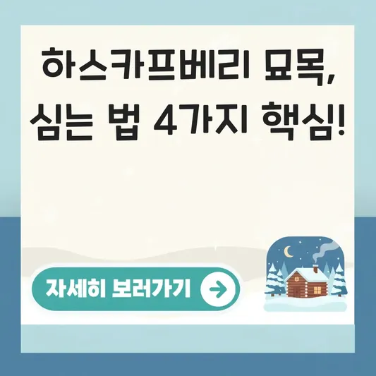 하스카프베리 묘목 심는 방법