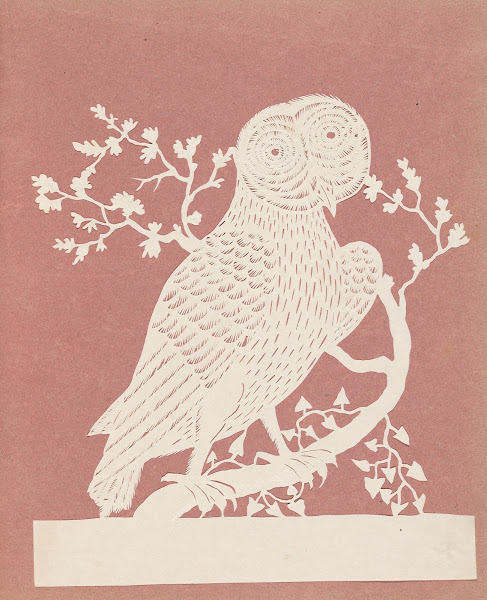 Owl 1823