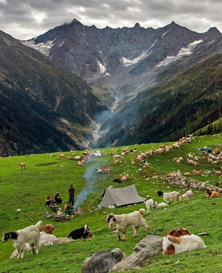 Kashmiri People