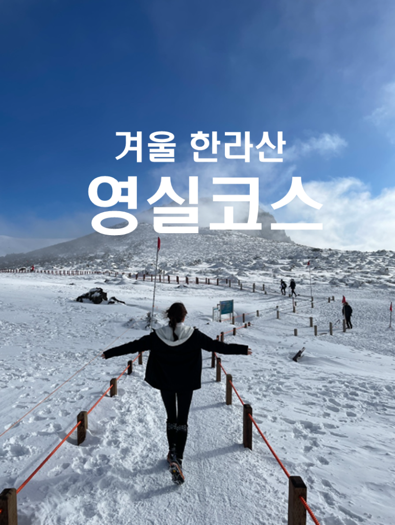 섹션 1 이미지