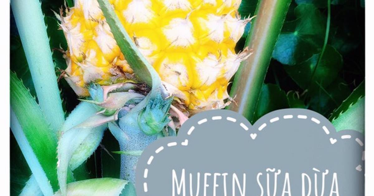 Muffin sữa dừa