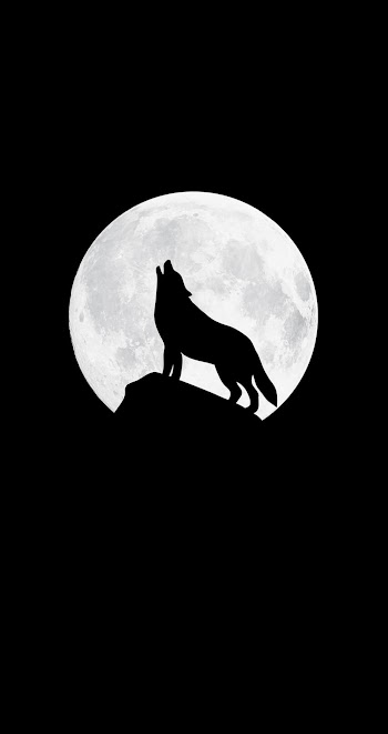 Wolf Moon Picture